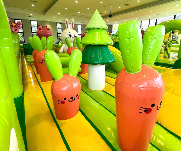 Jumptopia-GBB-(600-x-500)05 Jumptopia-GBB-(600-x-500)05