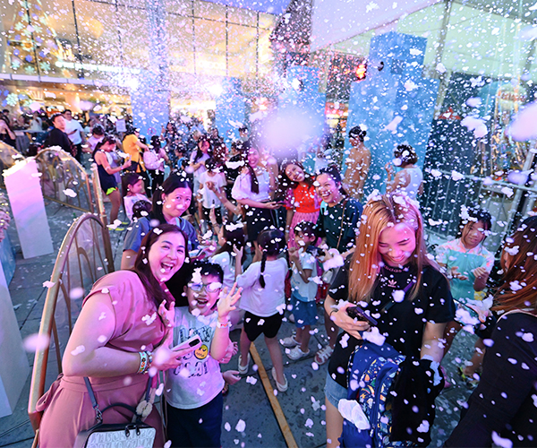 600x500---06 600x500---06