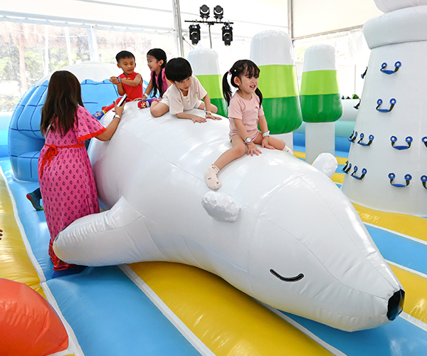 600x500---09 600x500---09